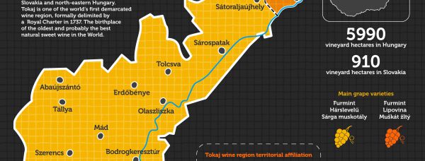 Map-infographic of Tokaj wine region by www.winesofa.eu