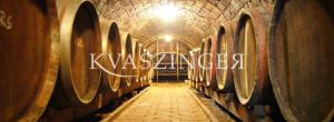 Kvaszinger wine tasting ABoros Borbár - cellar photo