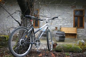Karádi-Berger Winery bike ride photo