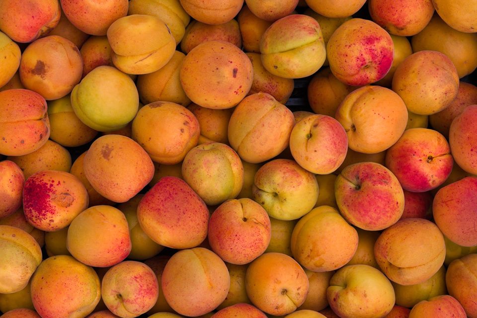 all apricots - photo