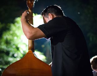 Photo of cello - live music concert Tokaj wine region July 2015