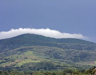 The iconic hill of the Tokaj Wine region: The Nagy kopasz