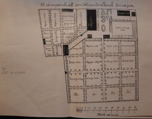handdrawn map / plan of Comenius school training garden and nursery